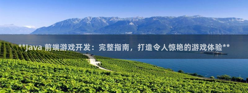 沐鸣3平台登录：**Java 前端游戏开