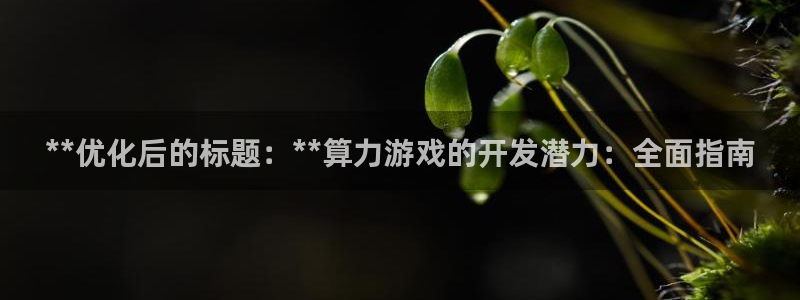 沐鸣注册：**优化后的标题：**算力游戏