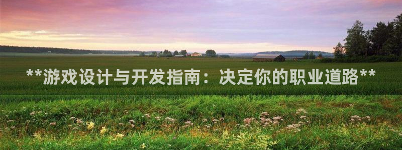 沐鸣4开户：**游戏设计与开发指南：决定