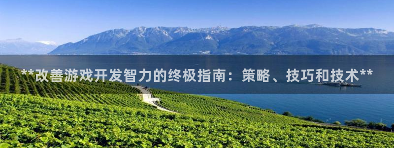 沐鸣科技有限公司：**改善游戏开发智力的