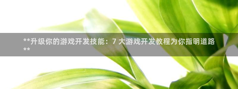 沐鸣娱乐app：**升级你的游戏开发技能