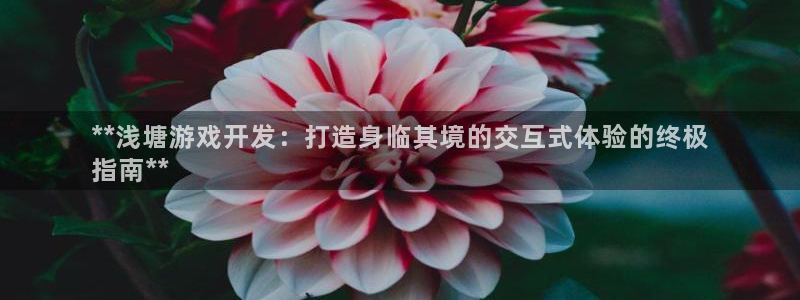 沐鸣娱乐1：**浅塘游戏开发：打造身临其