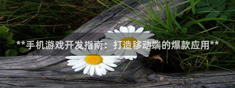 沐鸣平台负责人是谁：**手机游戏开发指南