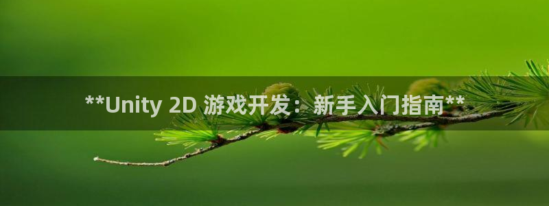 沐鸣科技有限公司官网：**Unity 2