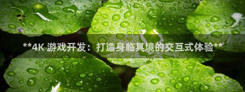 沐鸣注册网站官网：**4K 游戏开发：打