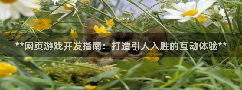 沐鸣注册注册：**网页游戏开发指南：打造