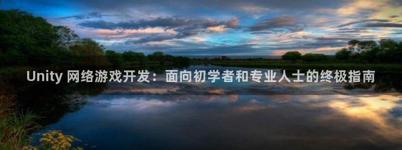 沐鸣app：Unity 网络游戏开发：面