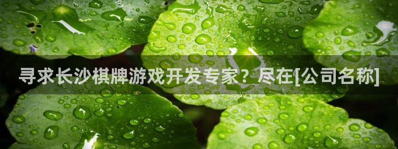 沐鸣娱乐平台登录入口官网网址：寻求长沙棋