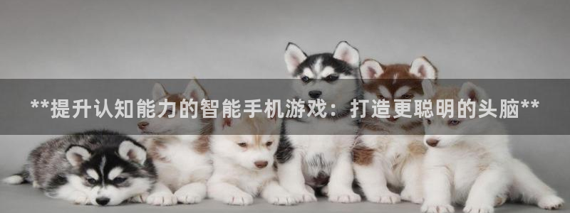 沐鸣网址：**提升认知能力的智能手机游戏