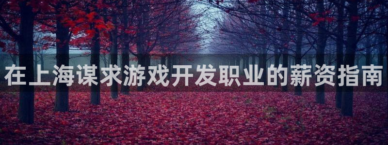 沐鸣代理：在上海谋求游戏开发职业的薪资指