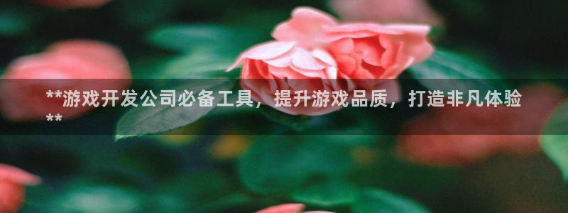 沐鸣娱乐平台登录不上：**游戏开发公司必