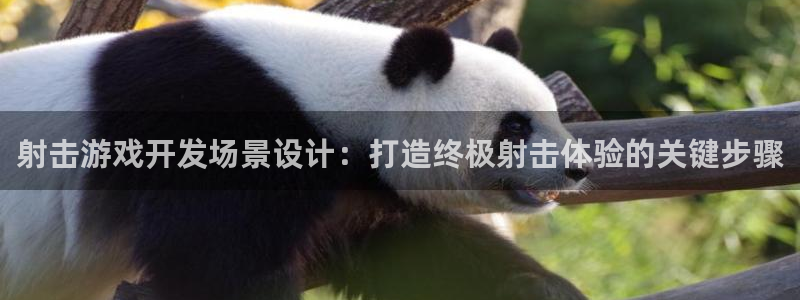 沐鸣平台注册资金多少亿：射击游戏开发场景