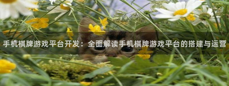沐鸣娱乐官方网站首页：手机棋牌游戏平台开