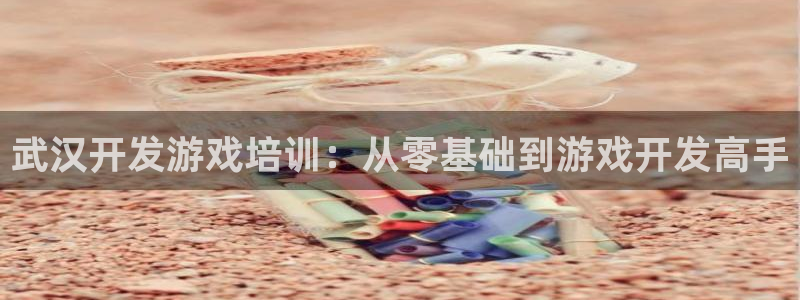 沐鸣平台总代理：武汉开发游戏培训：从零基