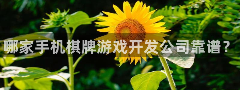 沐鸣注册网站是什么：哪家手机棋牌游戏开发