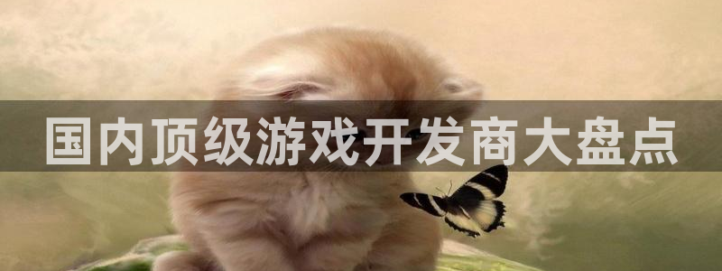 沐鸣游戏~53866：国内顶级游戏开发商