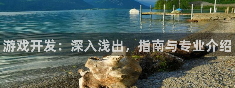 沐鸣平台代理注册多少钱一年啊：游戏开发：