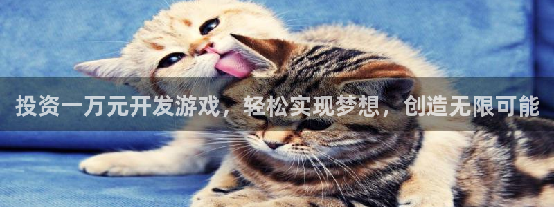 沐鸣平台代理注册多少钱一年：投资一万元开
