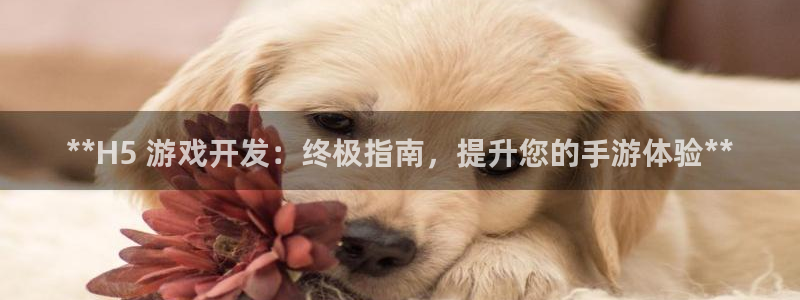 沐鸣娱乐平台怎么样啊：**H5 游戏开发
