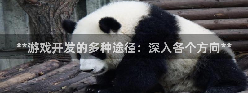 沐鸣注册地址：**游戏开发的多种途径：深