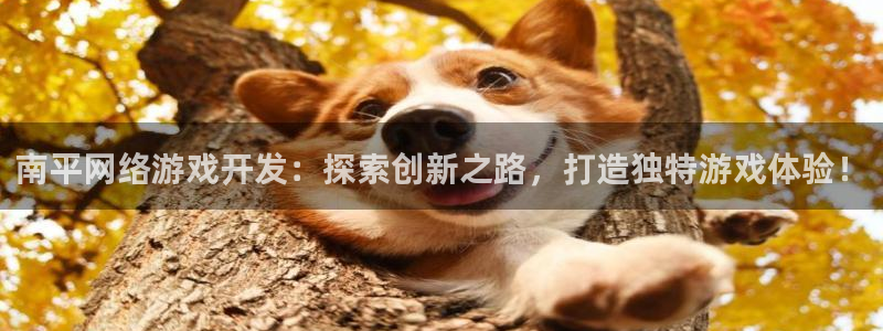 沐鸣注册登录：南平网络游戏开发：探索创新