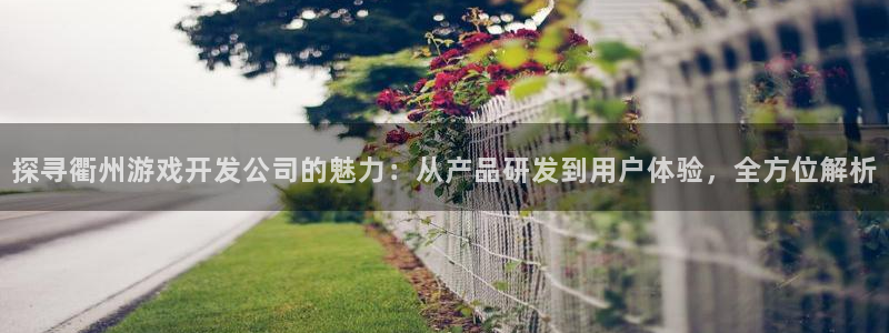 沐鸣平台是黑平台吗知乎：探寻衢州游戏开发