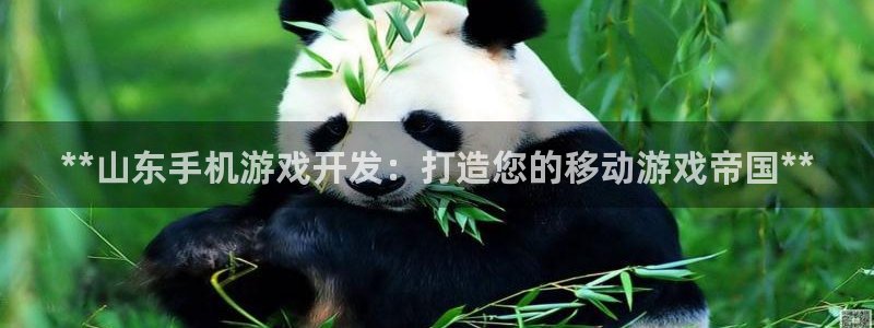 沐鸣平台官网注册：**山东手机游戏开发：