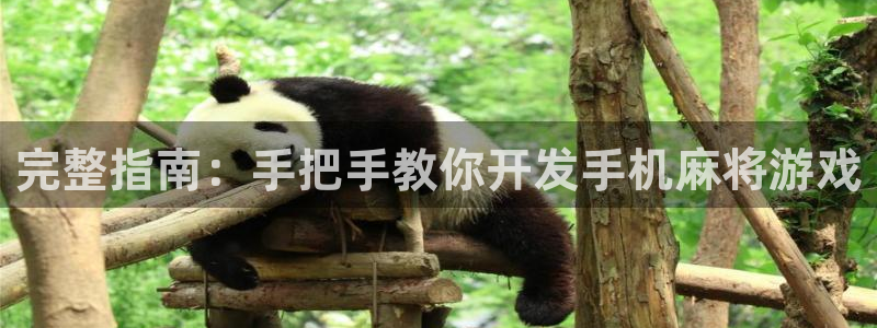 沐鸣科技有哪些产品啊：完整指南：手把手教