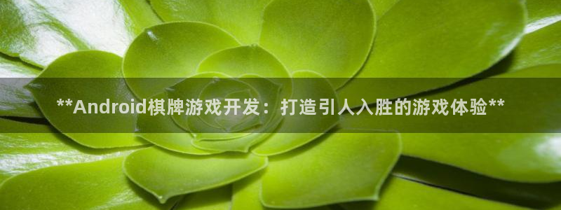 沐鸣科技有限公司官网招聘：**Andro