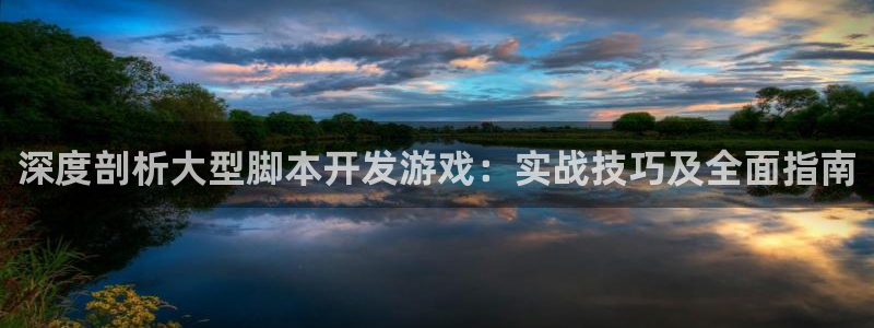 沐鸣娱乐平台登录不上：深度剖析大型脚本开