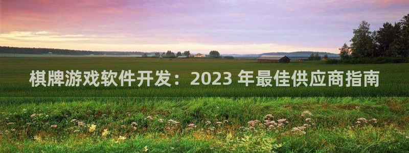 沐鸣app：棋牌游戏软件开发：2023 