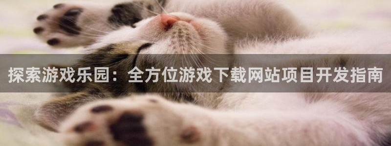沐鸣娱乐平台登录入口网址查询：探索游戏乐