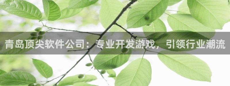 沐鸣注册地址：青岛顶尖软件公司：专业开发