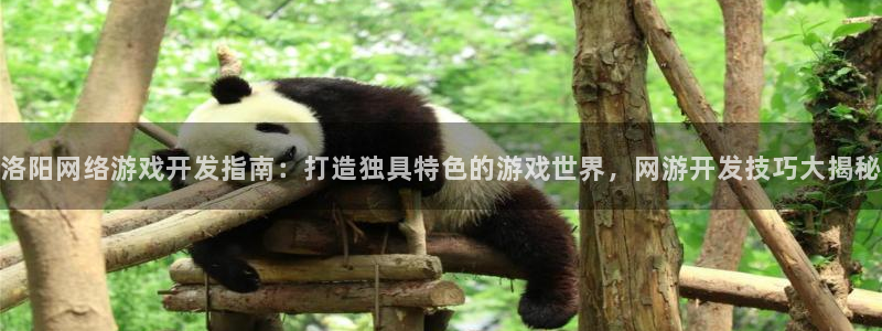 沐鸣娱乐1登录：洛阳网络游戏开发指南：打