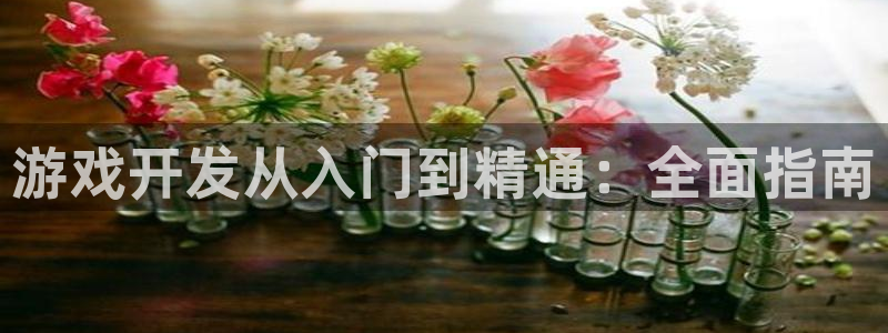 沐鸣娱乐ⅱ：游戏开发从入门到精通：全面指