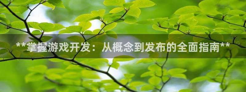 沐鸣娱乐测速：**掌握游戏开发：从概念到