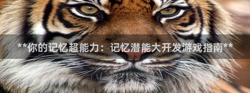 沐鸣娱乐代理在线注册链接：**你的记忆超