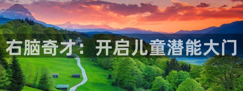 沐鸣科技做的游戏：右脑奇才：开启儿童潜能