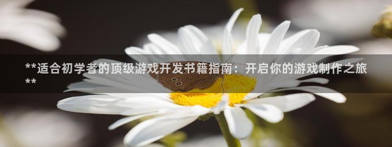 沐鸣注册登录：**适合初学者的顶级游戏开