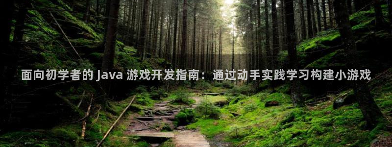 沐鸣娱乐代理是谁：面向初学者的 Java