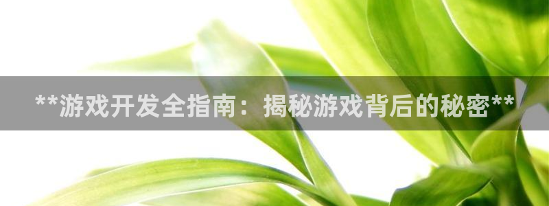 沐鸣娱乐平台登录网址：**游戏开发全指南