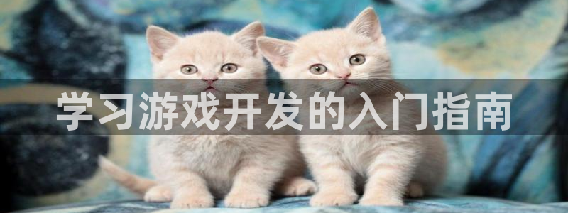 沐鸣娱乐怎么注册会员：学习游戏开发的入门