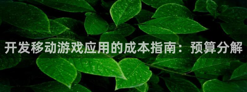 沐鸣平台总代：开发移动游戏应用的成本指南