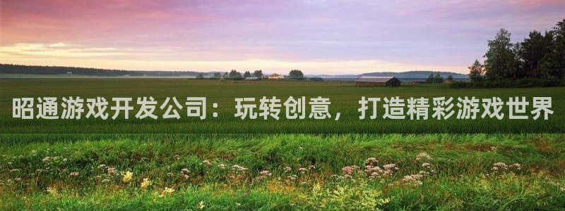 沐鸣娱乐1登录：昭通游戏开发公司：玩转创