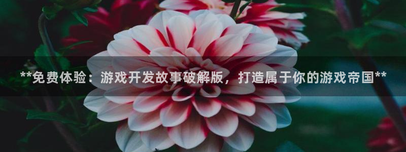 沐鸣代理：**免费体验：游戏开发故事破解
