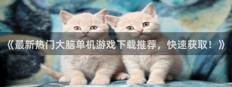 沐鸣注册开户：《最新热门大脑单机游戏下载