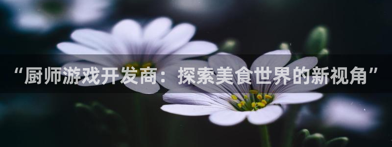 沐鸣娱乐平台登录入口下载安卓：“厨师游戏