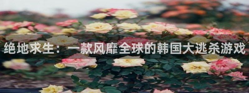 沐鸣娱乐平台登录入口