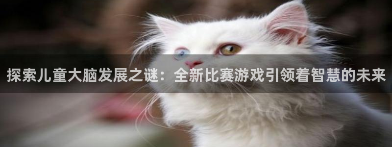 沐鸣游戏~53866：探索儿童大脑发展之