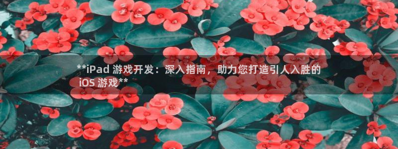 沐鸣平台代理：**iPad 游戏开发：深